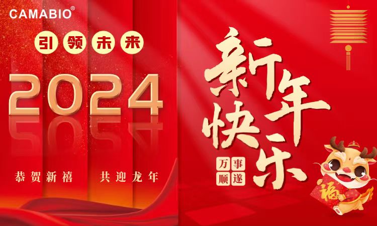 深圳市凯迈生物识别技术有限公司2024年春节放假通知
