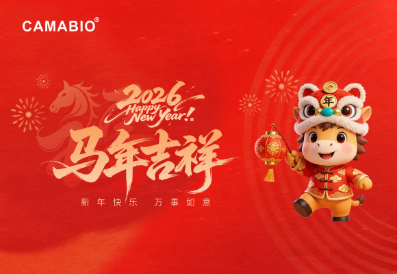 深圳市凯迈生物识别技术有限公司2026年春节放假通知